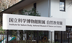 国立科学博物館附属自然教育園
