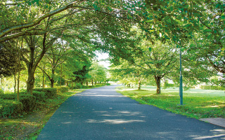 武蔵野の森公園