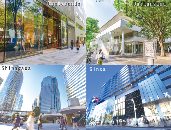 Omotesando_Daikanyama_Shinagawa_Ginza