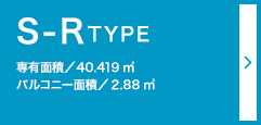 R TYPE