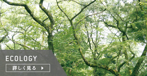 ECOLOGY