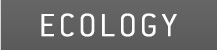 ECOLOGY