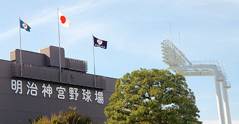 6-明治神宮野球場
