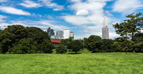 1-新宿御苑