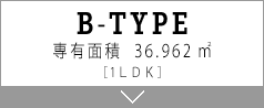 B TYPE