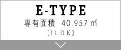 E TYPE