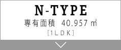 N TYPE