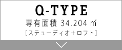 Q TYPE