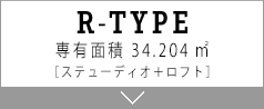 R TYPE