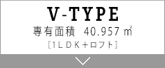 V TYPE