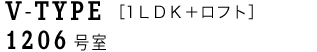 V TYPE