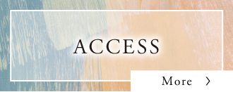 ACCESS