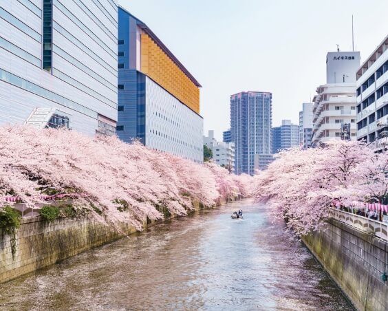 目黒川