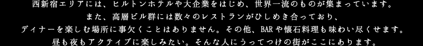 西新宿エリアには、ヒルトンホテルや大企業をはじめ、また、高層ビル群には数々のレストランがひしめき合っており、
昼も夜もアクティブに楽しみたい。そんな人にうってつけの世界一流のものが集まっています。
ディナーを楽しむ場所に事欠くことはありません。
その他、BARや懐石料理も味わい尽くせます。街がここにあります。