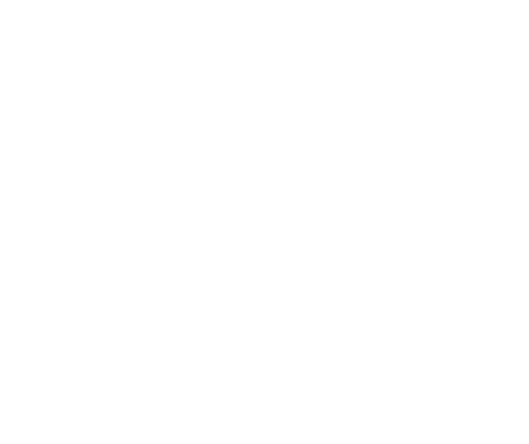 SAFETY SENSE PRACTICAl