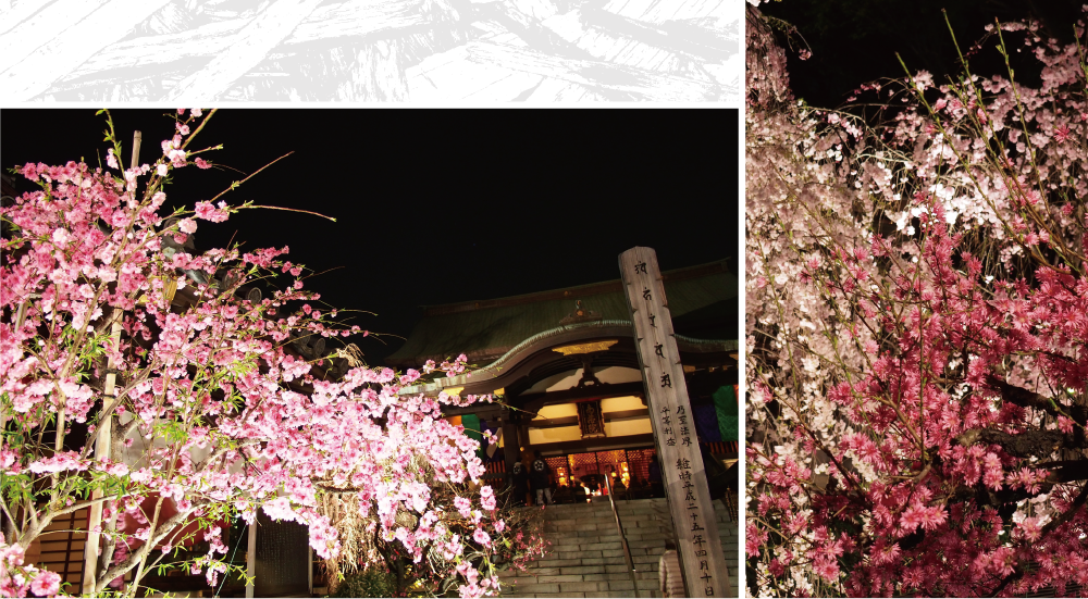 南蔵院