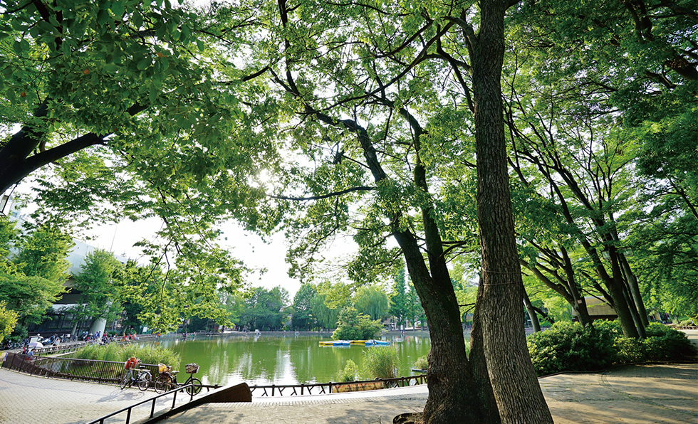 見次公園