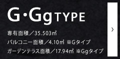 G TYPE