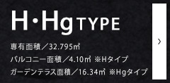 H TYPE