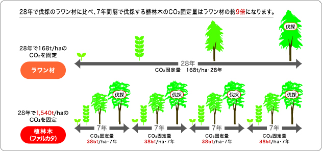 シートフローリング構造図