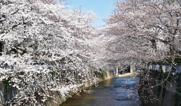 神田川のイメージ画像